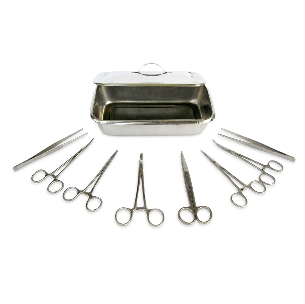 Minor Surgical Set