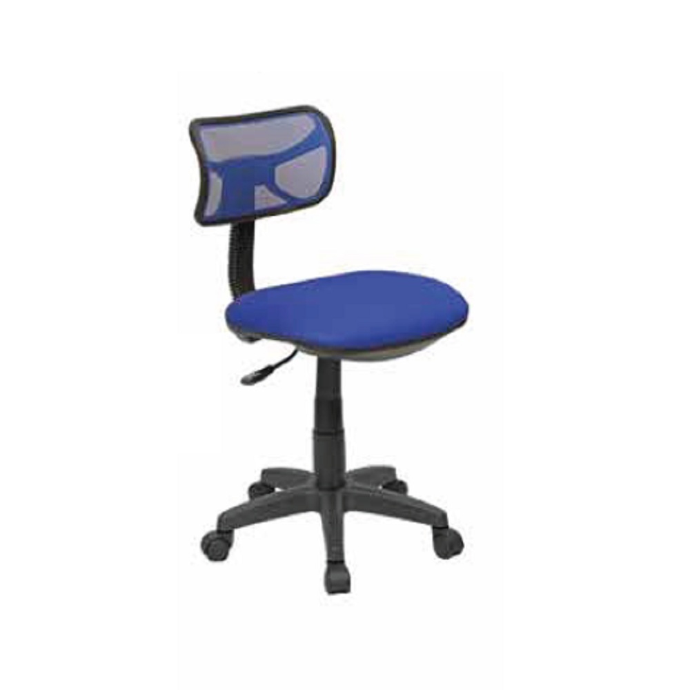 Examination Chair - 300C