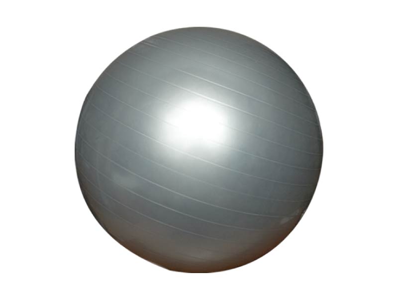 Gym Ball - 55 cm