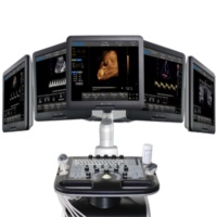 Ultrasound - ECO
